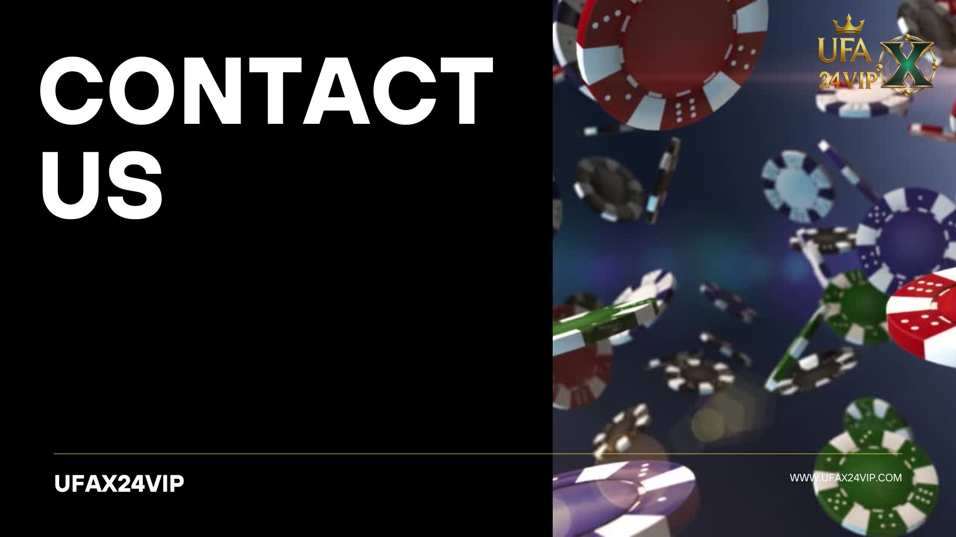 contact us